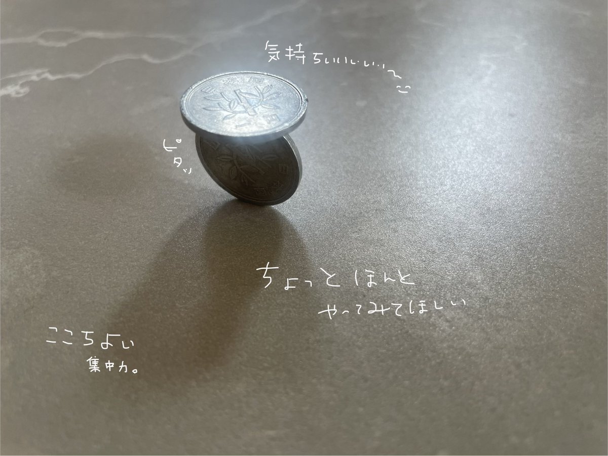 #超絶バランス倶楽部
１日１バランス🫸🏻🫷🏻