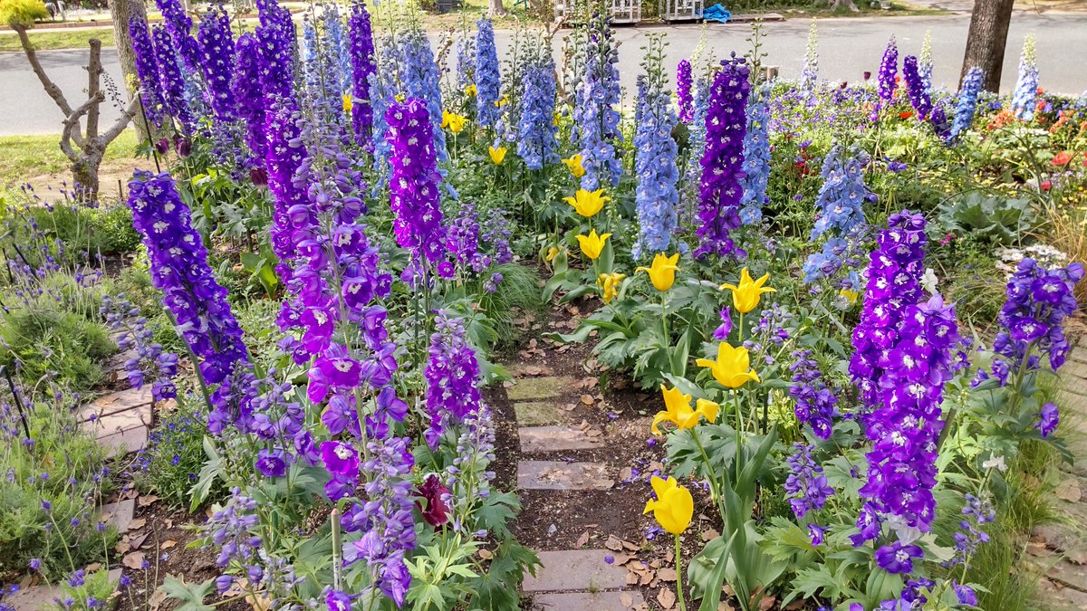 ウテオ@LoveTrain🚋 tweet media