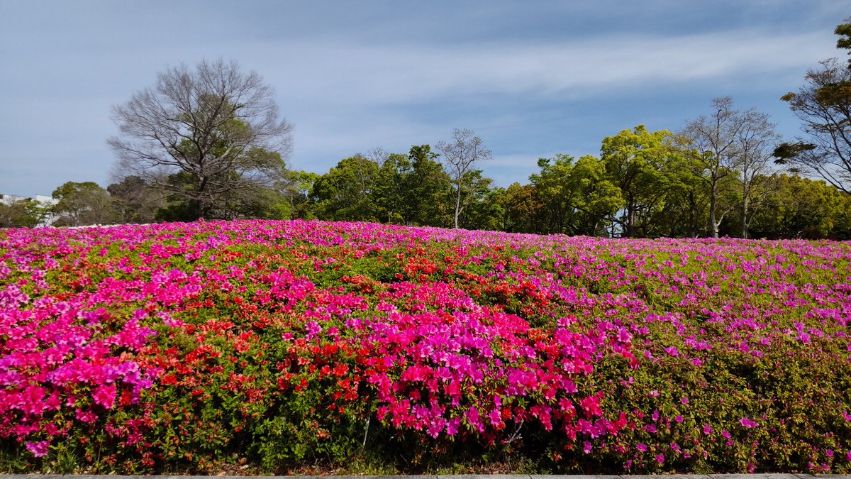 ウテオ@LoveTrain🚋 tweet media