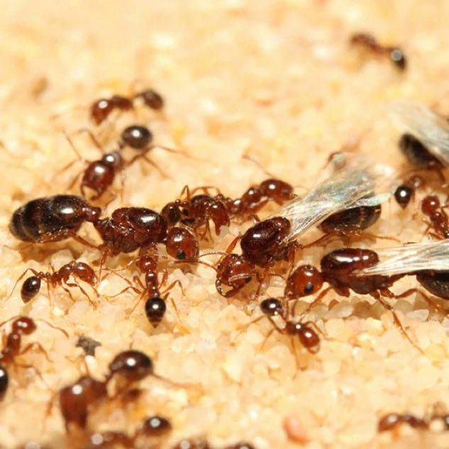 ももなっち🍑 tweet media