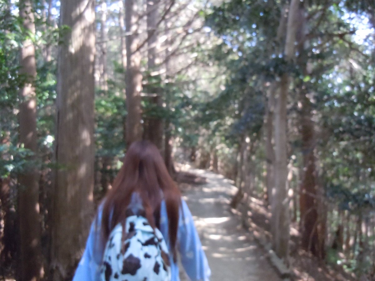 星乃 ひかり tweet media