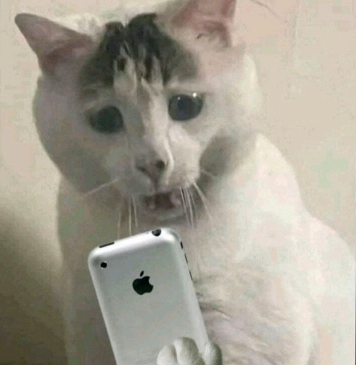 CJ Watson tweet media