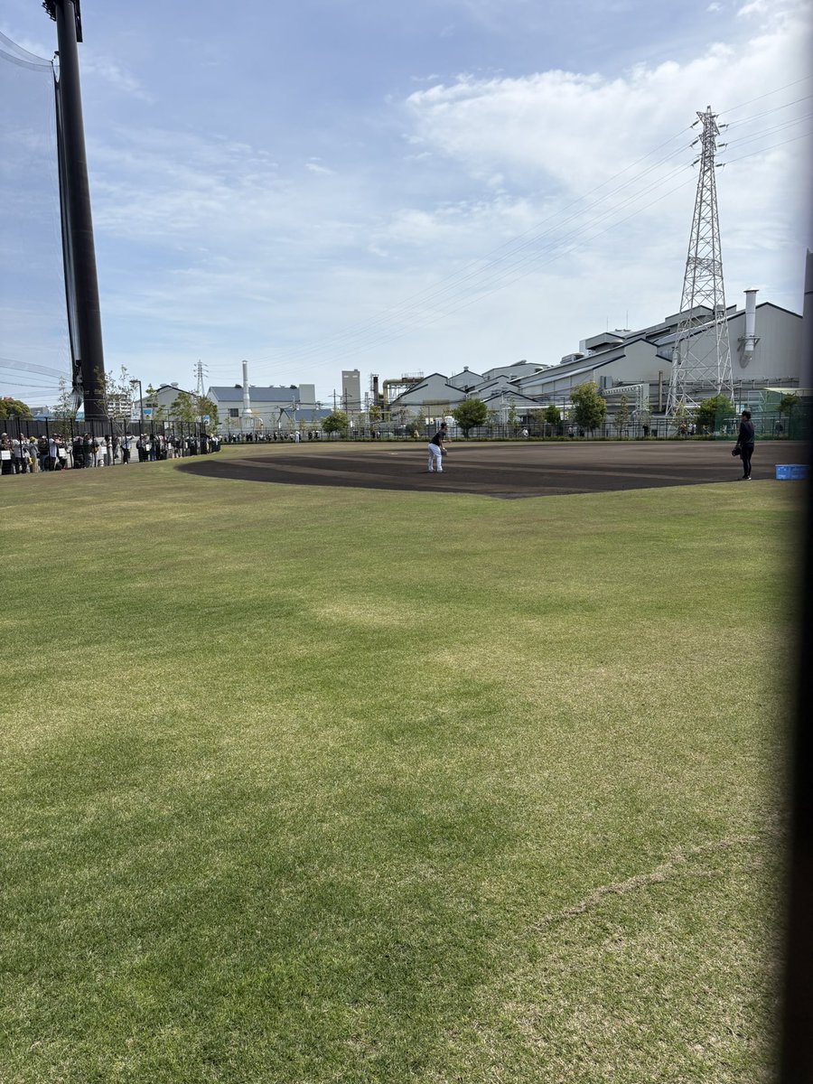 遠藤礼🦎⚡️スポニチ大阪総合コンテンツ部🦎⚡️阪神担当 tweet media