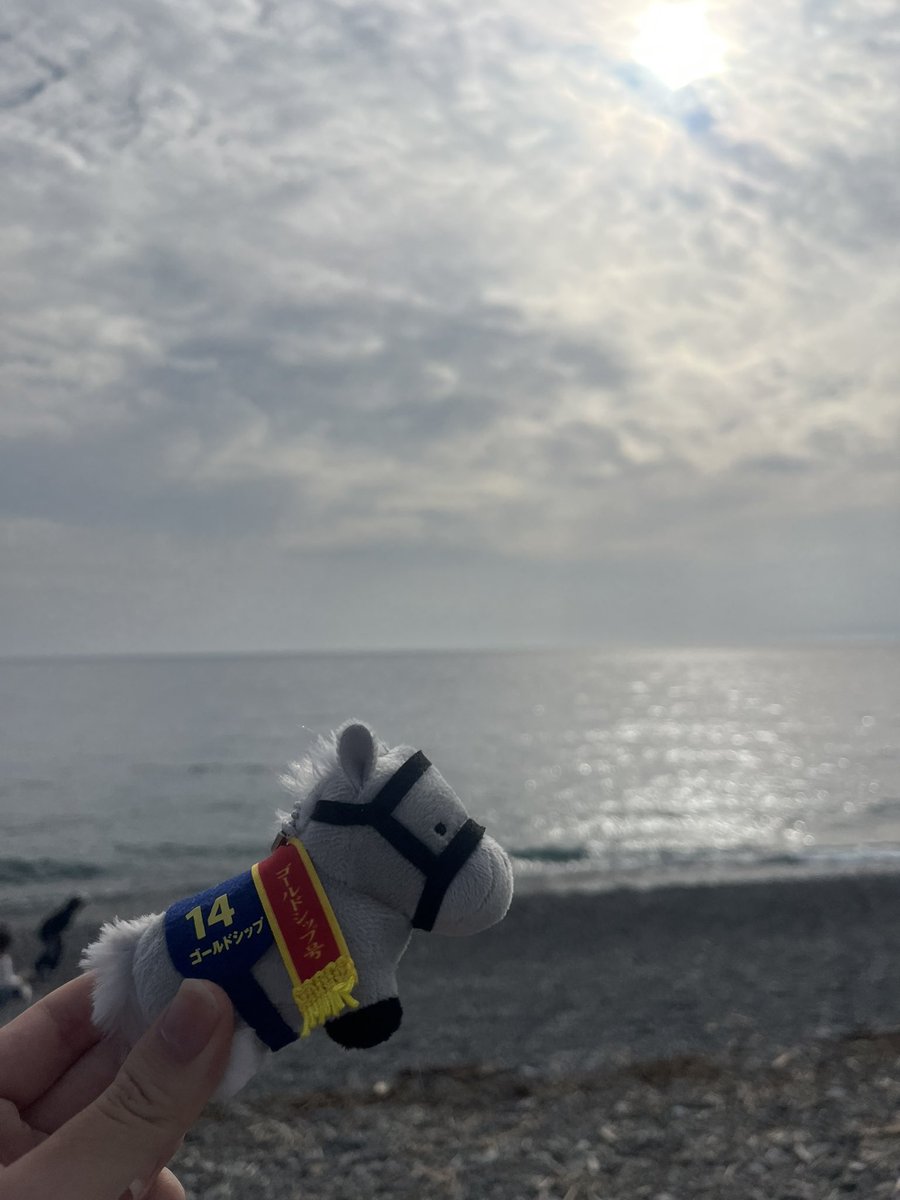 ちゃろー⭐︎ tweet media