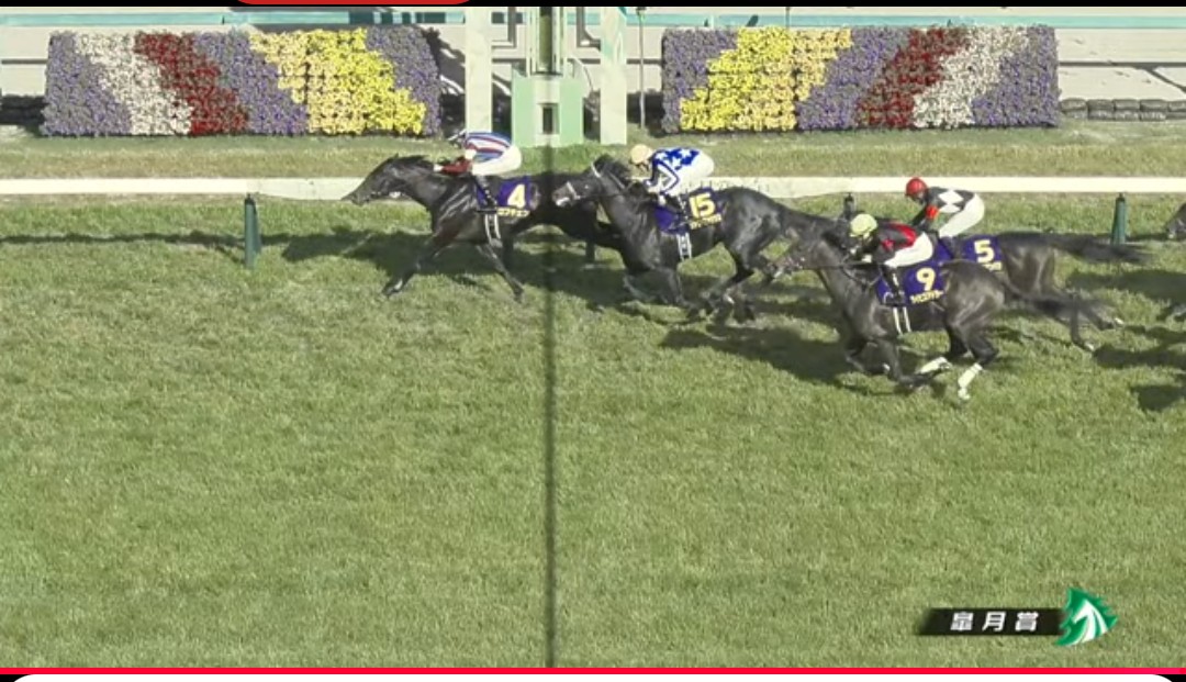 岩窟王 tweet media