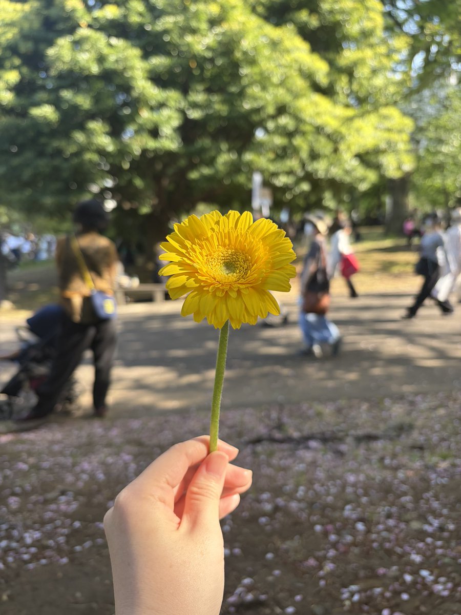 小林桜子 tweet media