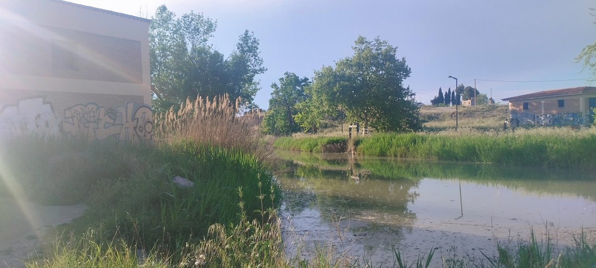 Roberto Baila (Also on #Bluesky) tweet media