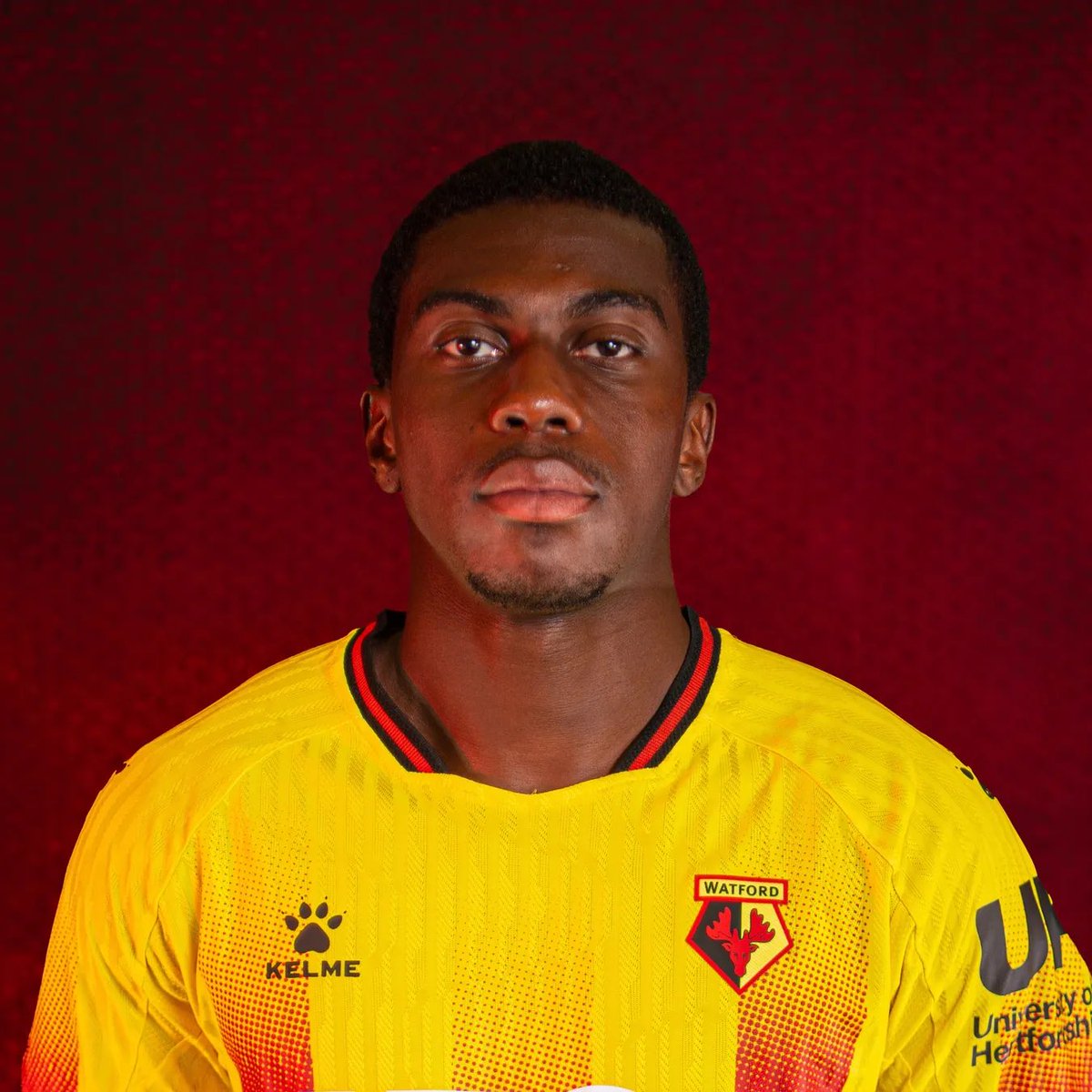 Do Not Scratch Your Eyes Watford FC Podcast 🐝 tweet media