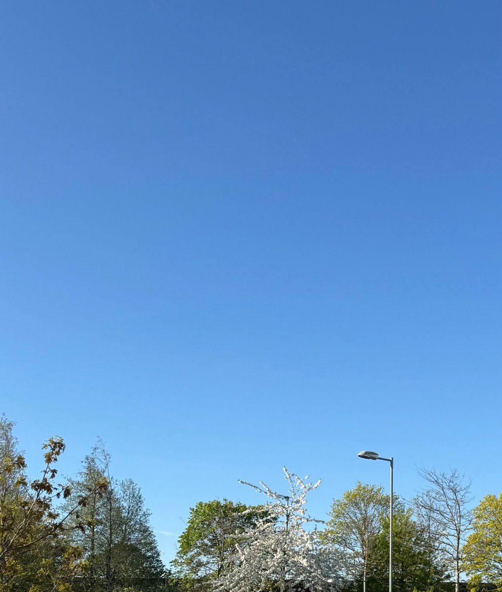 NeilBrumby's tweet photo. Just finished at the gym, beautiful spring day in Darlington #blessed https://t.co/5olMJ7WNGz