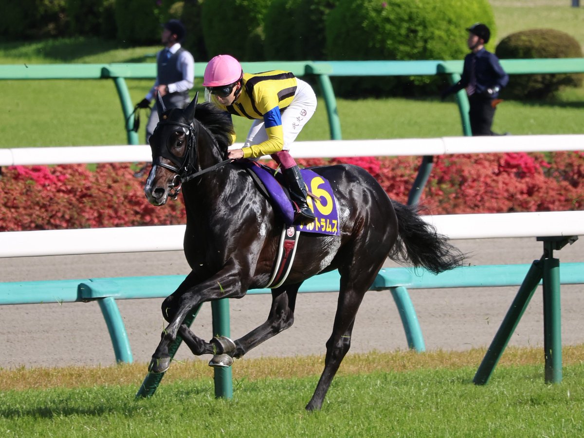 さえまる tweet media