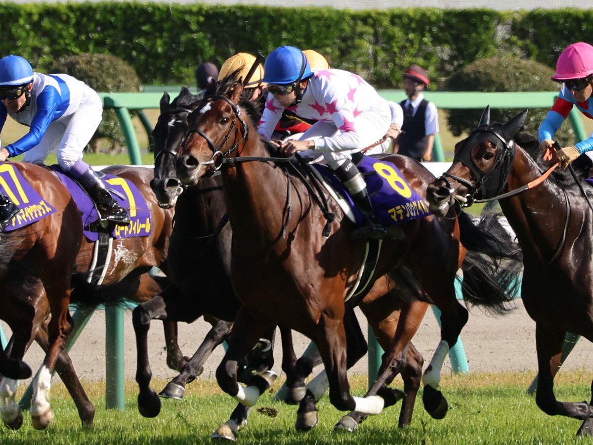 さえまる tweet media