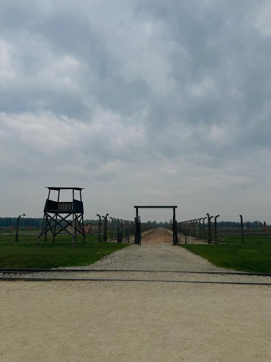 A selection area at the Auschwitz II-Birkenau site. 

This is how Geza Schein, a Hungarian Jew born in 1933, remembers the moment of selection when prisoners were admitted to the camp:

"There were SS officers on the ramp, some with dogs, and many with staffs and clubs in their