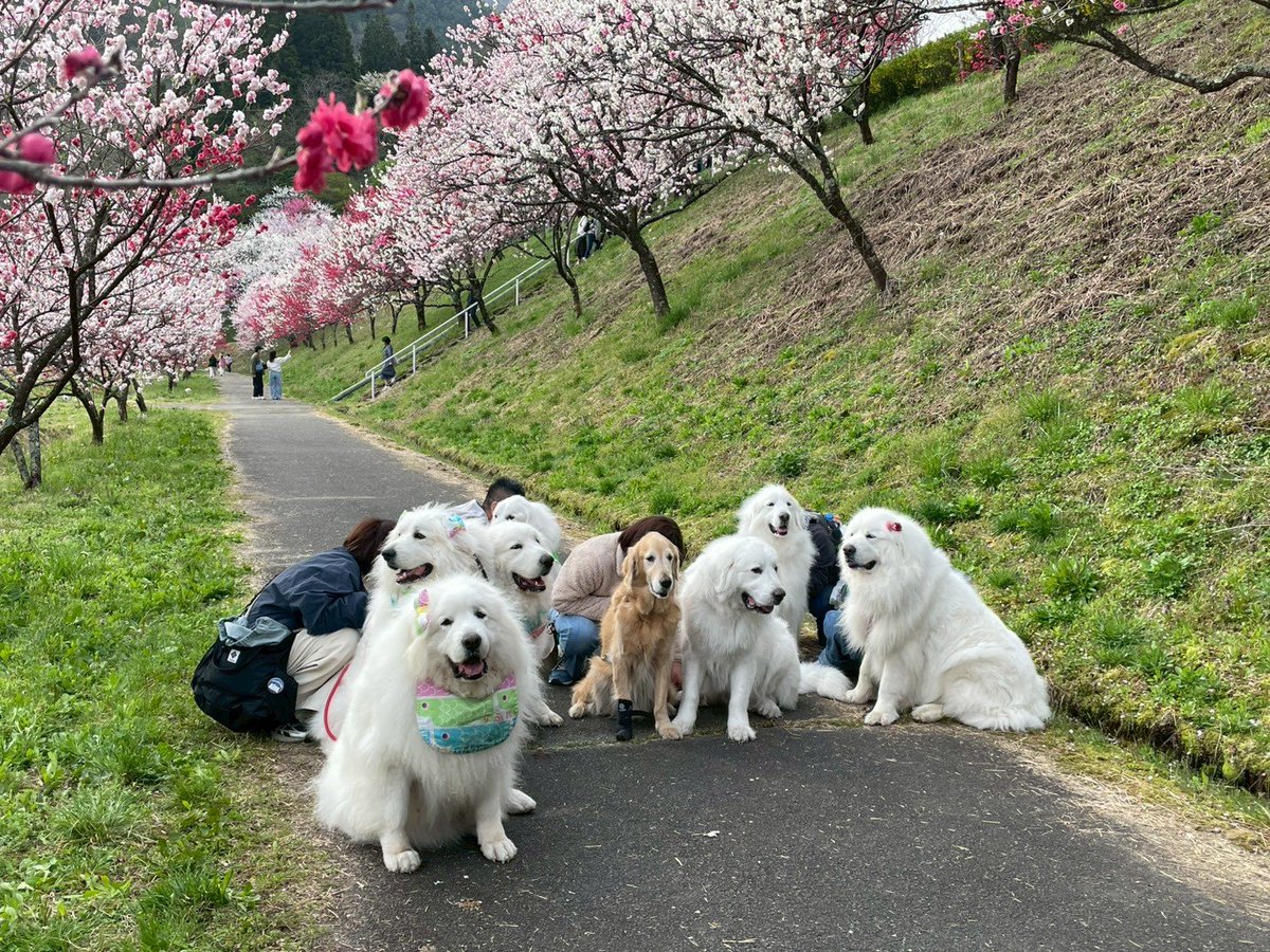 おさちゃん tweet media