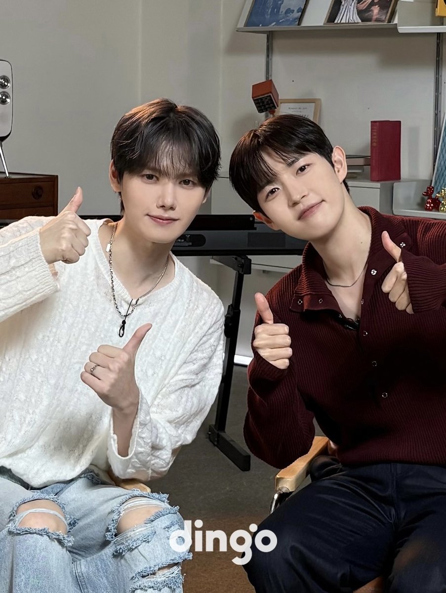 dingo(딩고) tweet media