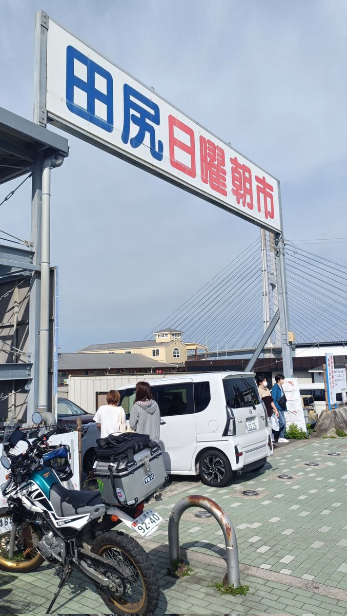 釣りの人（こうすけ） tweet media