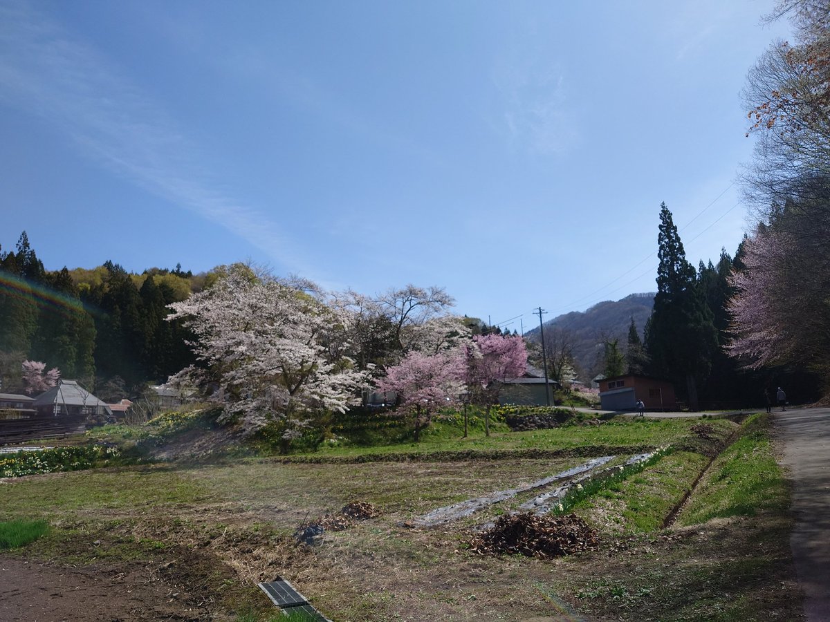 あおてん⛩ tweet media