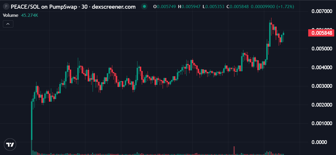 Tang 现货大手子 tweet media