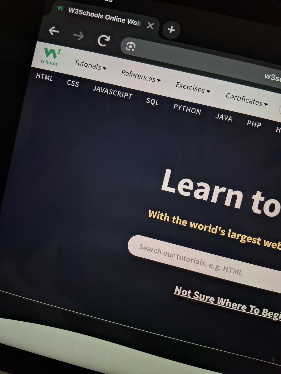 Zinny 🎀 tweet media