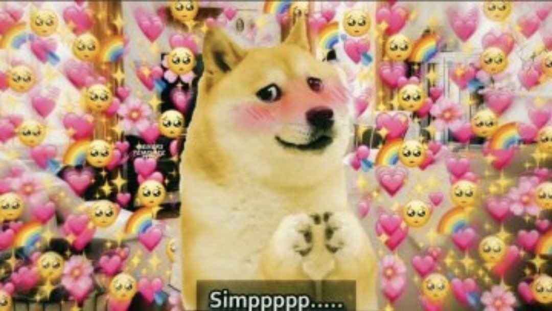 தர்மா™️ tweet media