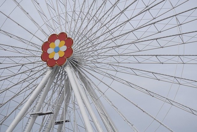 Jason Taniguchi tweet media