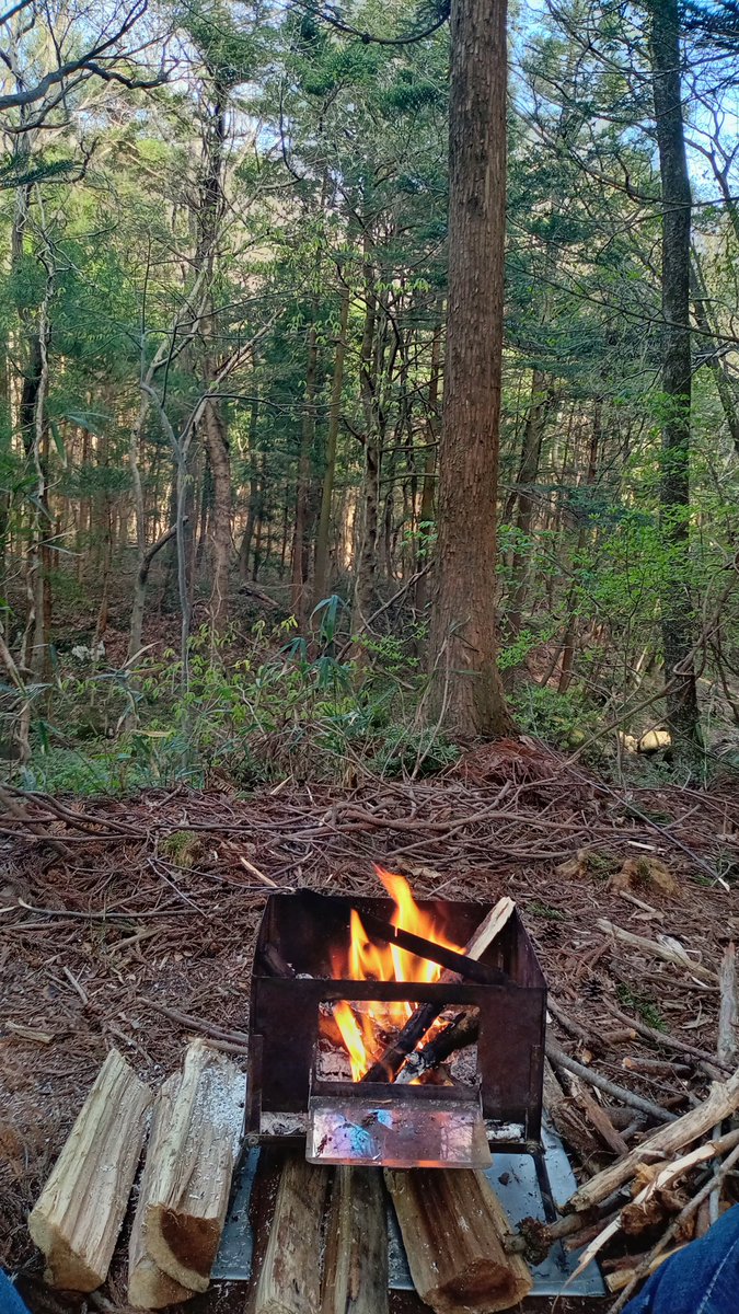 笑津亭ゆーき☆ tweet media