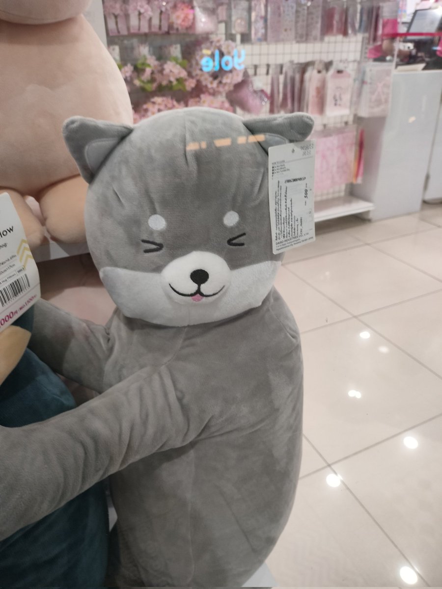 ミーちゃん🧣🐾 — แมวฟ้าจมูกตัน੭ ゙❄️ tweet media