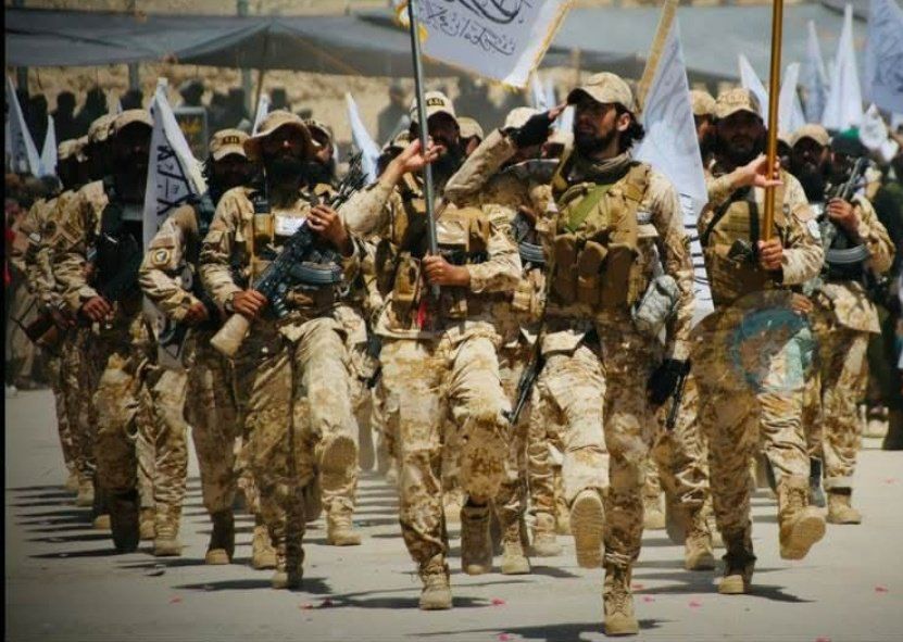 محمدشعیب tweet media