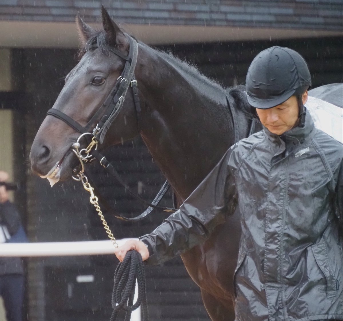 新馬戦（2025.11.9）は結構な雨の中でしたが、ちゃんと撮っておいて