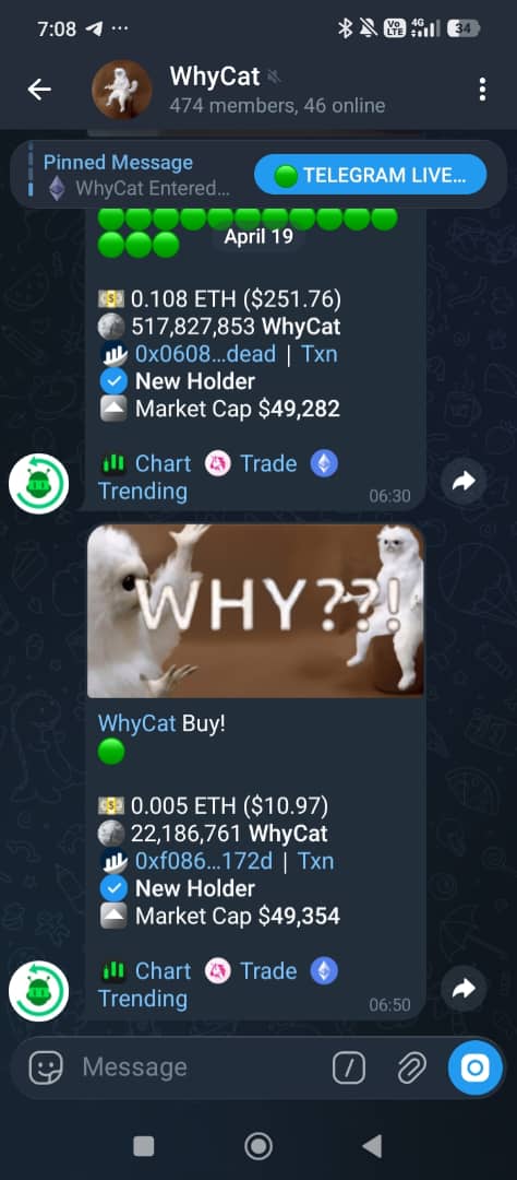 WhyCatEth_CTO tweet media