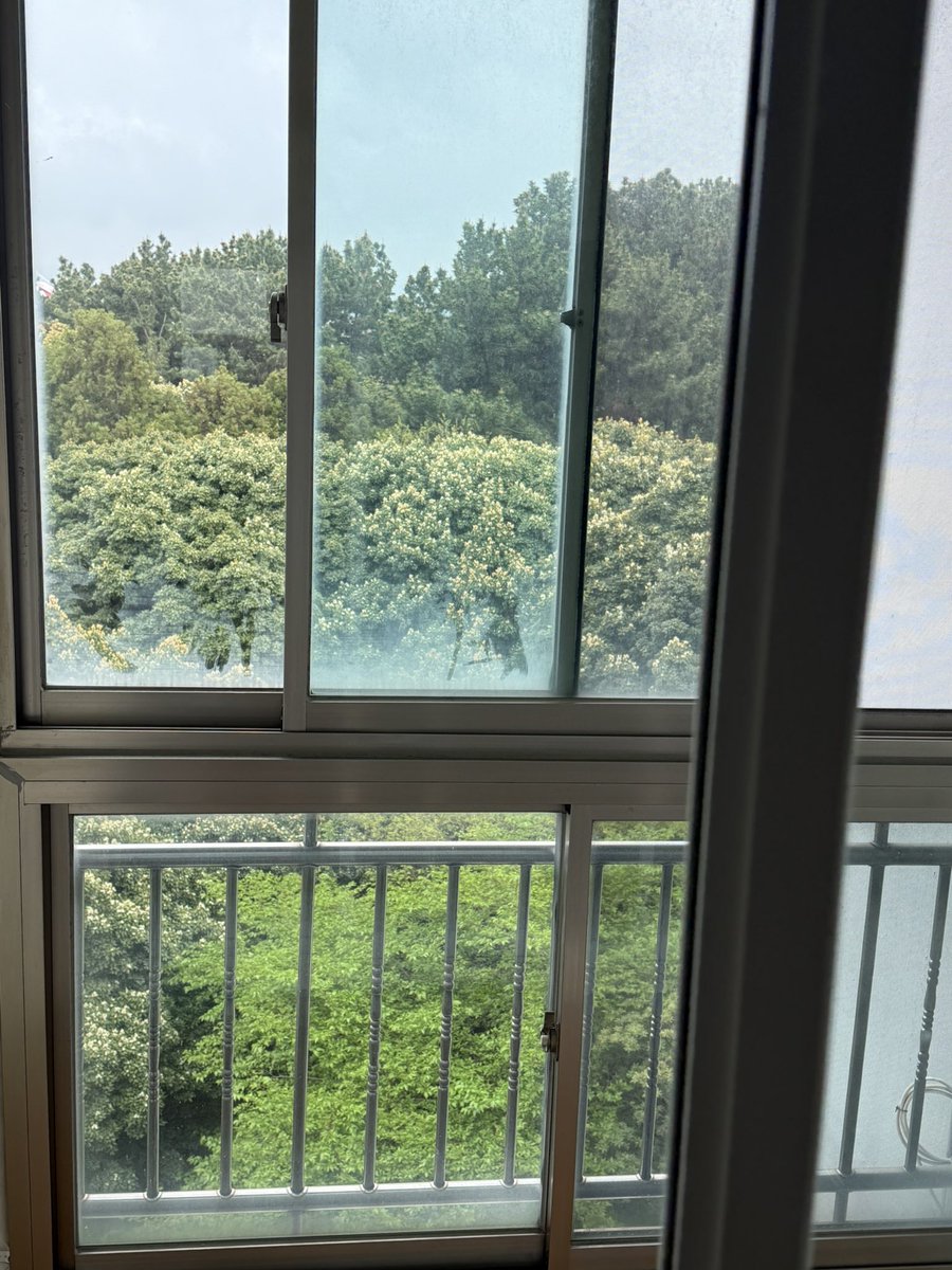 모하낭 tweet media