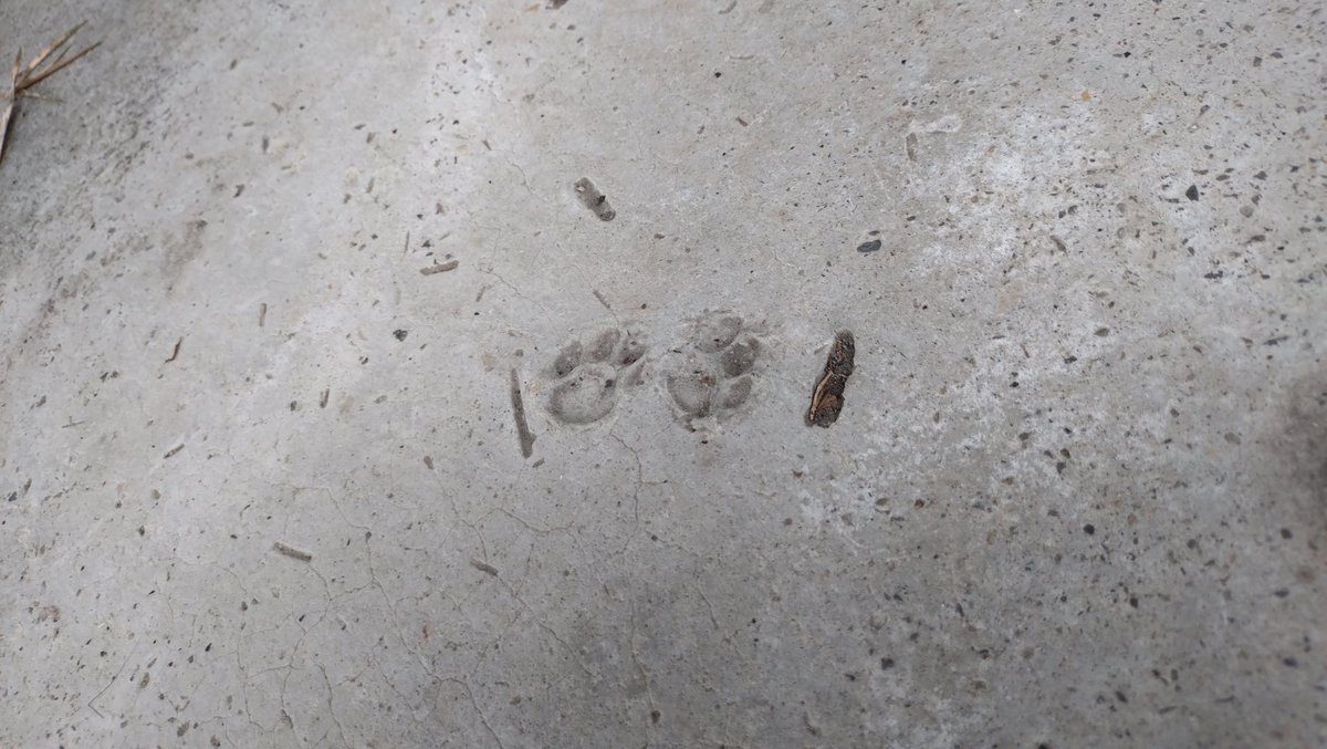 ゆーた【ずとまろアングラー】 tweet media