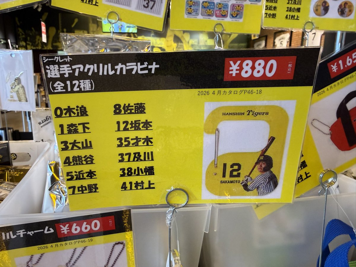 kumiking🐯🔜5/27,6/24,7/22,8/19,8/30,9/9,9/10 tweet media