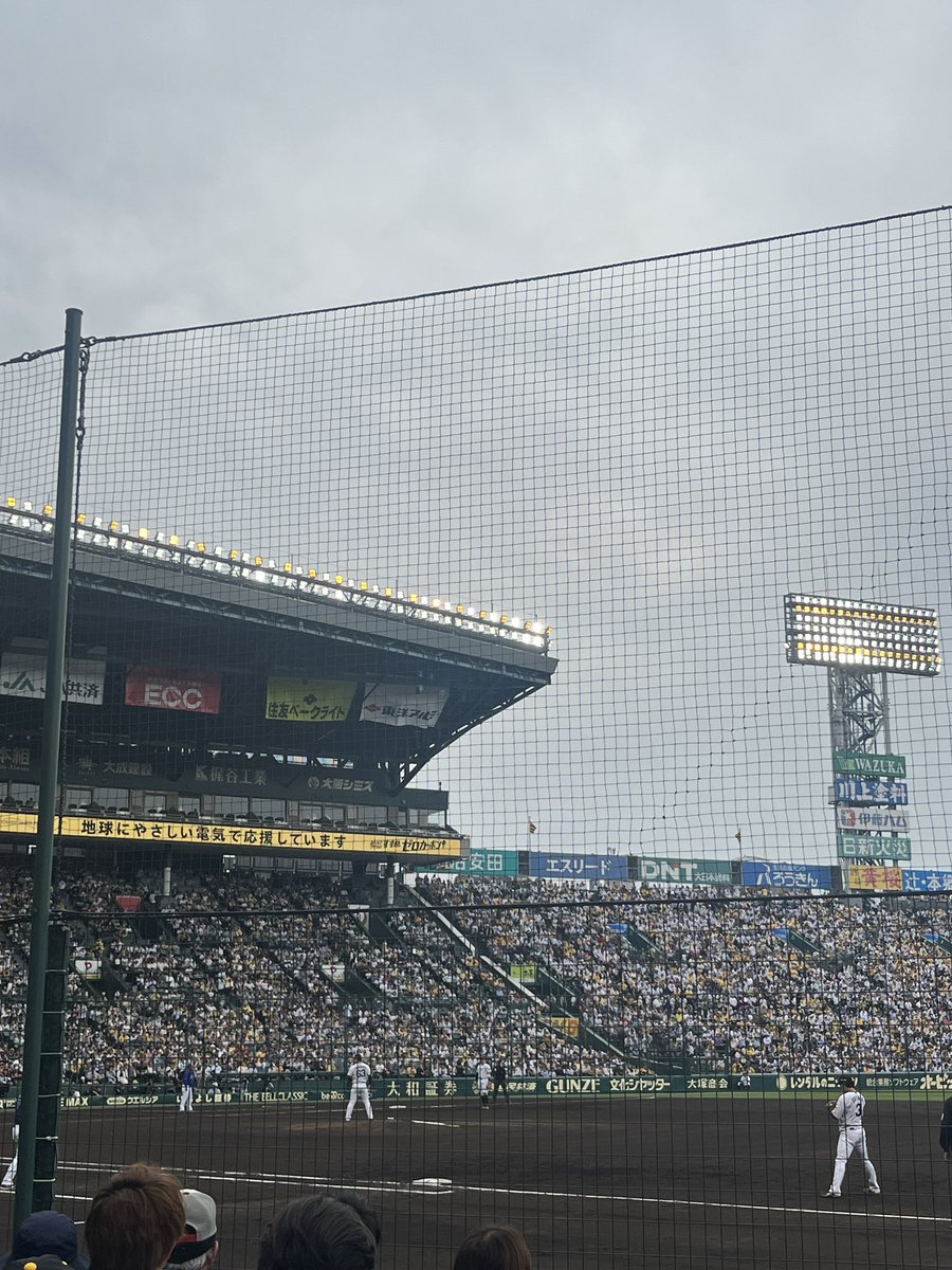 きき🍛🍺 tweet media