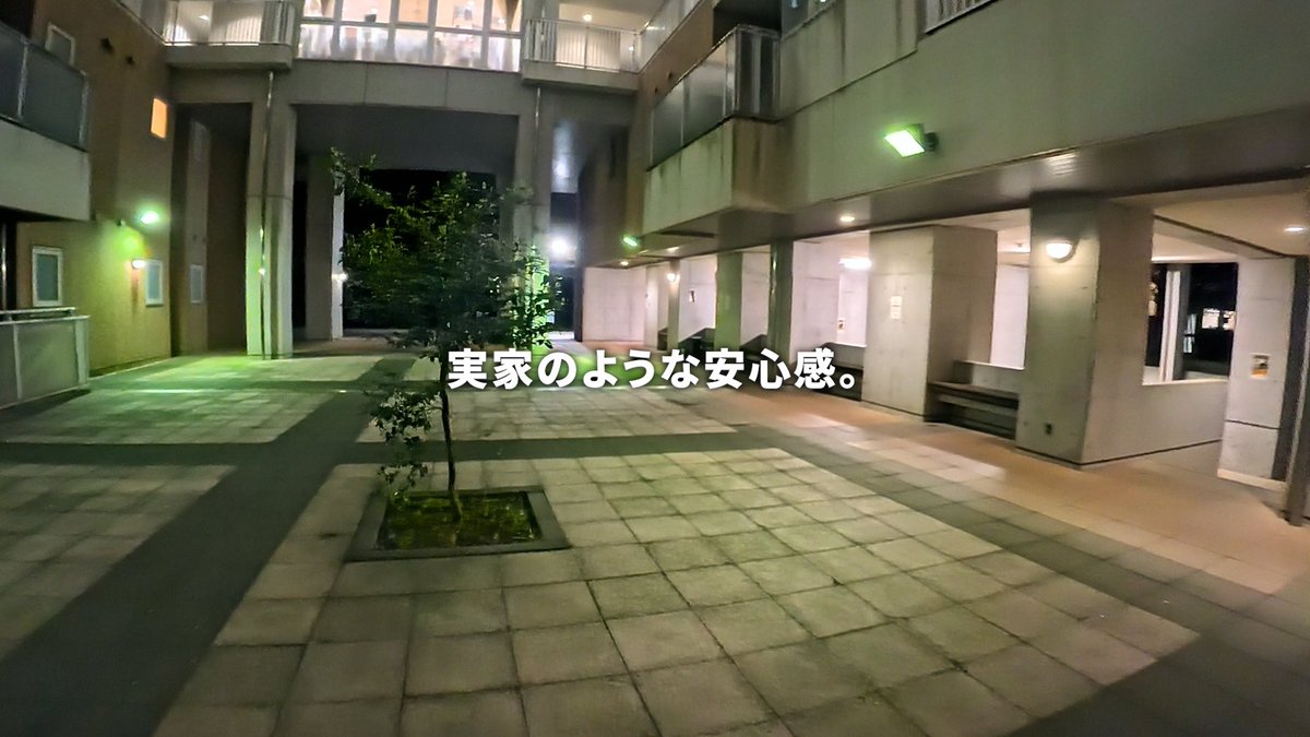 しゅんしゅん(ShunShun) tweet media