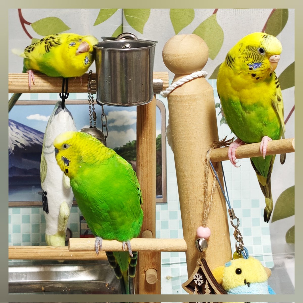 さくらといんこ tweet media