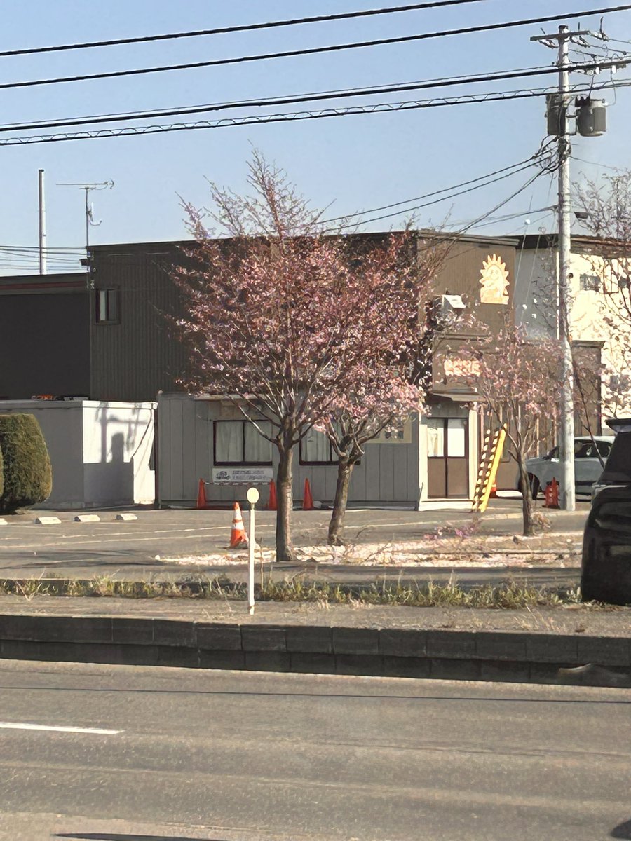 yuppy☺︎ tweet media