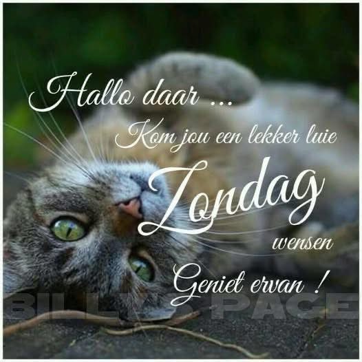 Vervloet Luc tweet media