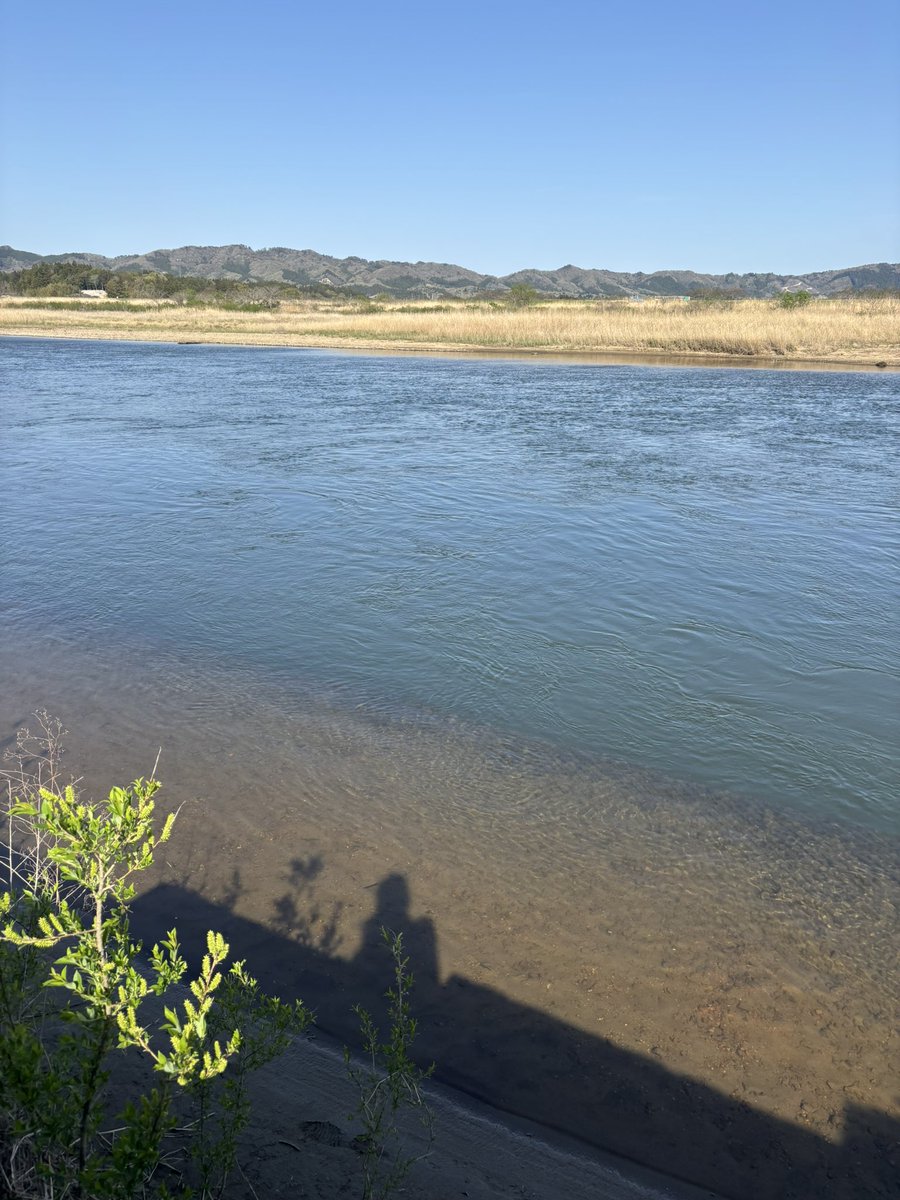 中華料理かんの　（スタッフ募集中） tweet media