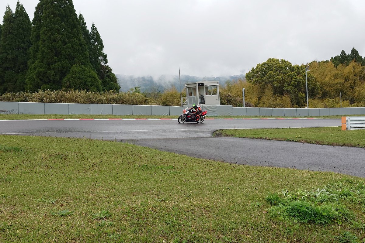 MEF20231007's tweet photo. 雨のなかでも元気！ https://t.co/G32kbiRecM
