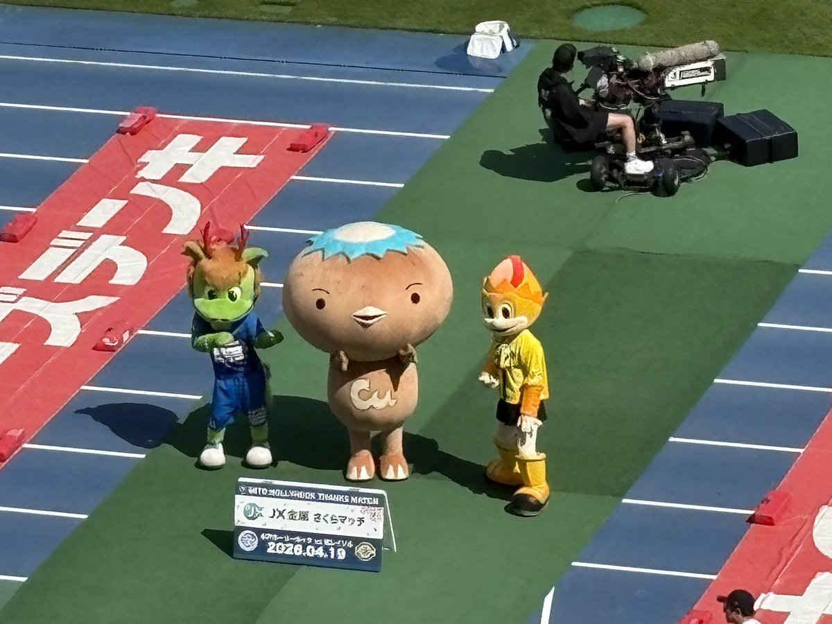 寺田忍🐉 tweet media