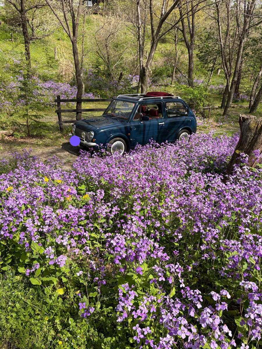 OZ★Go Camping with PAO tweet media