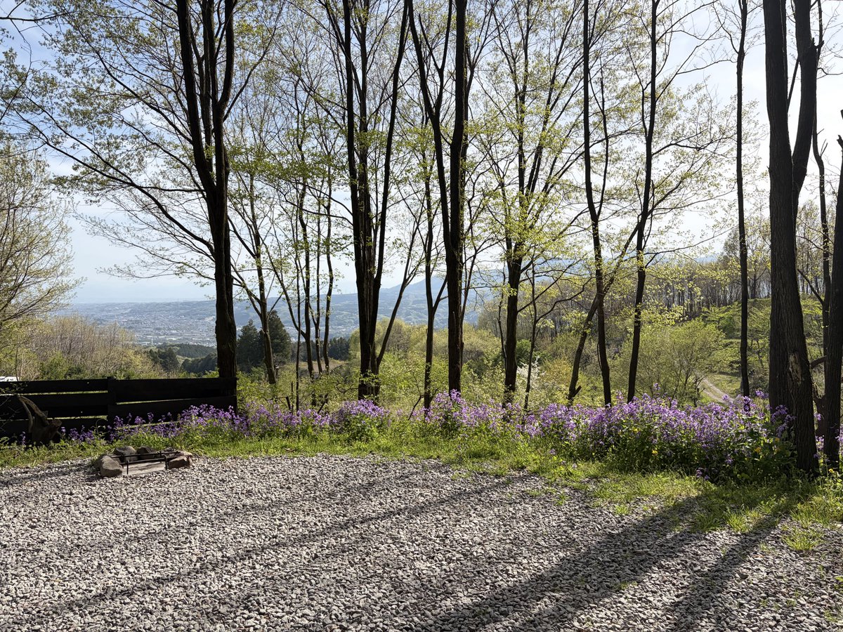 OZ★Go Camping with PAO tweet media