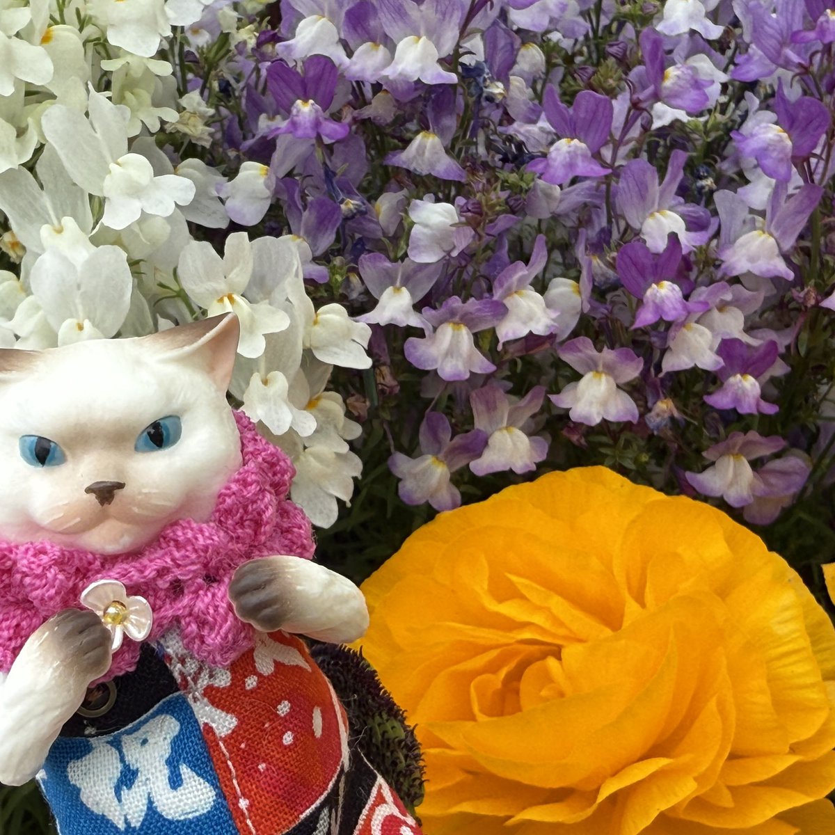 インテにて。
なんか強そうなポーズになってる🤣
#necoca