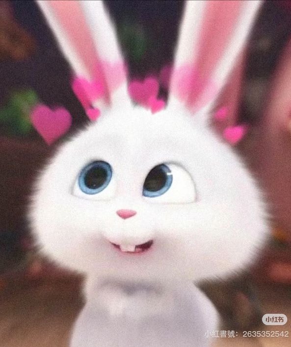 chylsnn♡ ⃗ tweet media