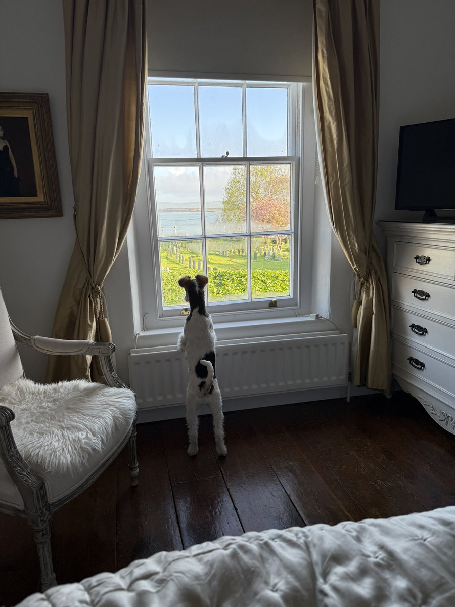 Margot Freckles Chimes tweet media