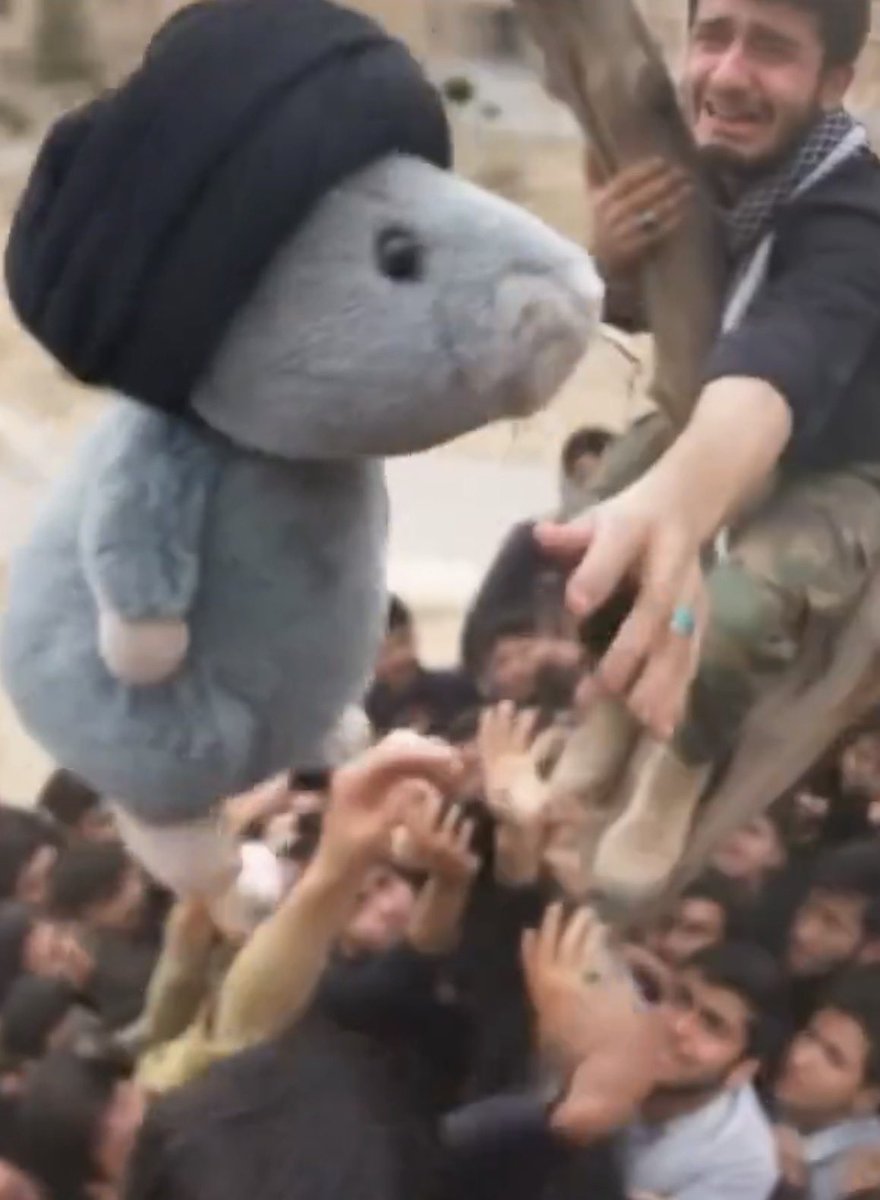 Siavash Nas 🇮🇷 tweet media