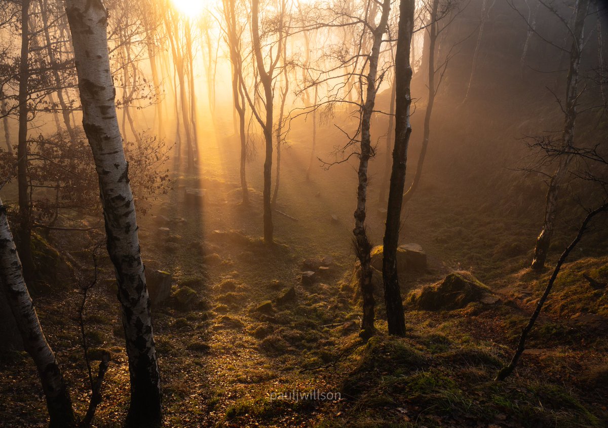 Paul Willson tweet media