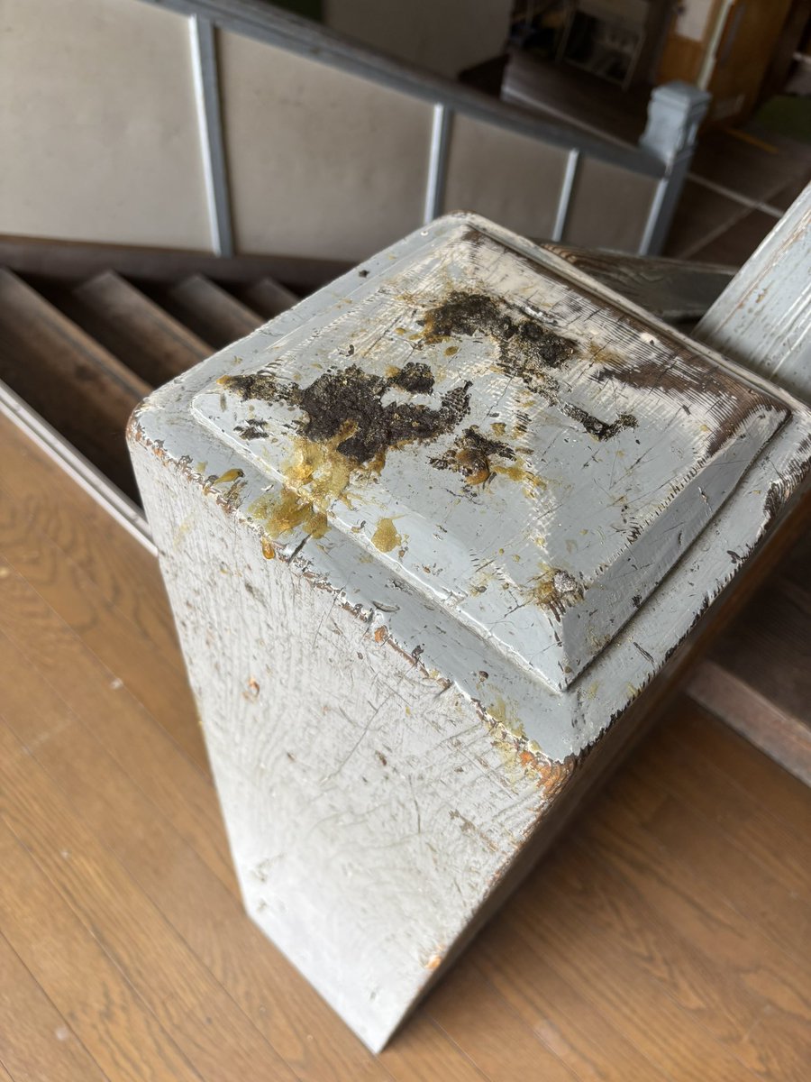 田村吉康 TAMURA Yoshiyasu tweet media