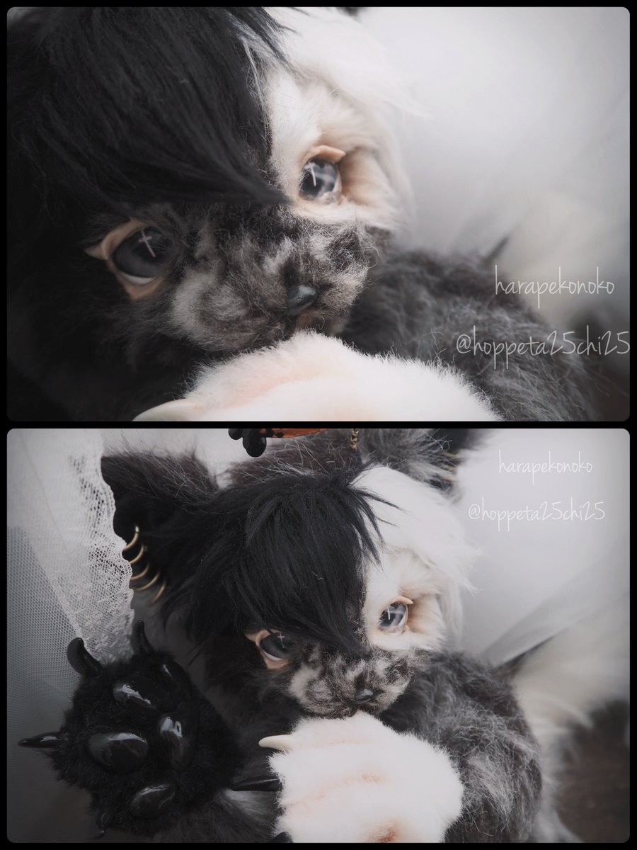 ハラペコ (@hoppeta25chi25) / Posts / X