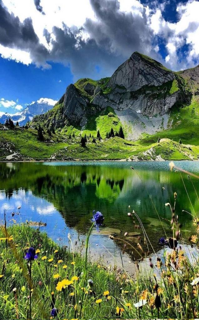 pocs80's tweet image. For all my Followers &amp;amp; X (Twitter) Friends 
#TakeCare